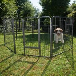 Metal Run For Puppies – 8 Sided 8 Elements, Each 80 X 80 Cm (L X H)