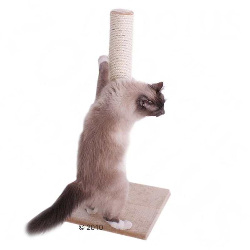 Olga Cat Scratching Post Beige 5 Olga Cat Scratching Post Beige - Image 3
